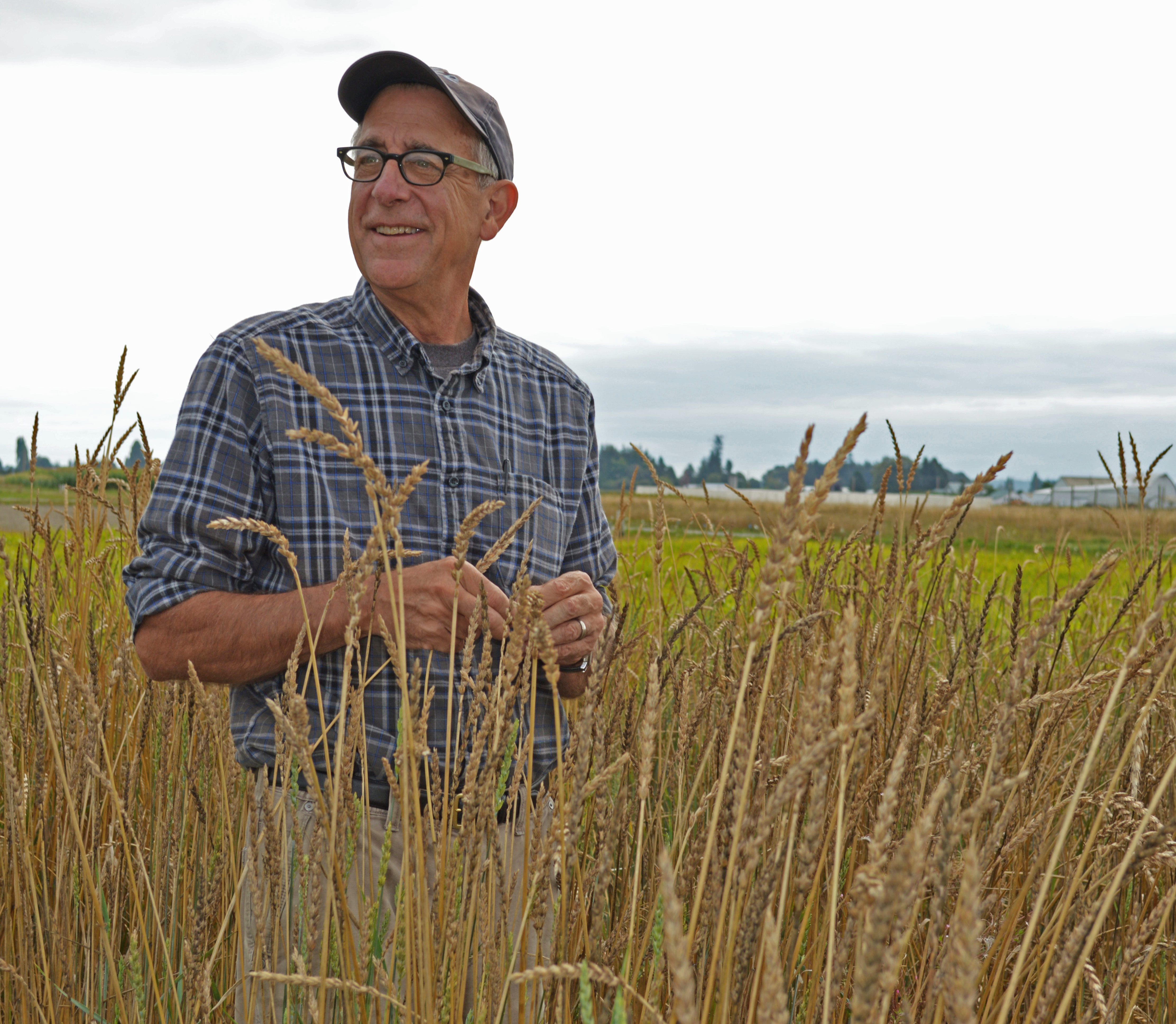 Jones standing in wheat field